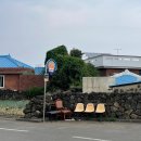 담백 | 제주도 여름 뚜벅이 혼자 동쪽 여행 후기2 (월정리담백, 하도숙소)