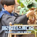 숲으로간 이그니스 마법학교 친구들 | 너무 재미있던 해리포터 스튜디오 런던 - 워너브라더스 스튜디오 투어 런던