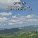 마당목장 | [평창] 아이와 가볼만한 곳 8월 하늘목장 오픈런 후기 (할인 및 트랙터 운행 시간)