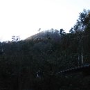 걸치기농장 Daum카페