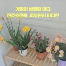 아다한