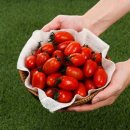 하모니농장 이미지