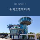 동해유공타워 | 강원도 고성 가볼만한곳 송지호관망타워 입장료 주차 정보와 산책 코스 솔직 후기