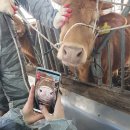 주)아이랩 이미지