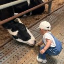 승한목장 이미지