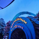 씨월드 | 아부다비 가볼만한 곳 | 아부다비 씨월드 방문 후기 실내 테마파크 아부다비 여행 코스