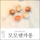 순천 마카롱 맛집 신대지구에 위치한 모모앤카롱 솔직후기