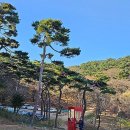 풍물시장(갑곳리205-5) | 강화도 당일치기 여행 - 갑곶돈대, 강화풍물시장, 전등사, 온수리성당, 광성보