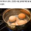 계란 하루에 몇 개 먹어도 될까? ＜연구＞ 이미지