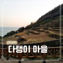여수 남해 가족 여행 22 2박 3일 코스 중 가볼 만한 곳 다랭이마을 일몰 및 주차 후기