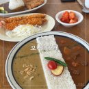 [수원 맛집] 행궁동 맛집 모나미 카레 방문 후기, 주차 정보
