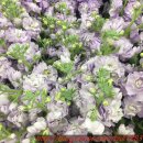 하나로자동차정비센터 이미지