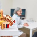 하음보청기 이미지