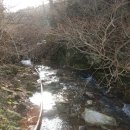 합수농장 이미지