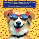 빙고하우스 이미지