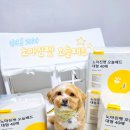 펫사이드코리아(PETSIDEKOREA) | 배변패드 유목민 모여라! 노마진펫 배변패드 찐 사용후기💛