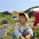 순성어린이집 네이버블로그