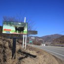 영이네민박 이미지