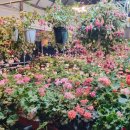 경춘농장 이미지