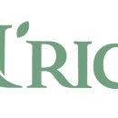 순수그릭 이미지