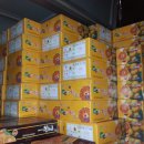 이강인농장 이미지