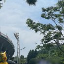 [야구] 사직야구장 클래식시리즈 3루 내야필드석A 313블럭 원정응원석 2열 10, 11번