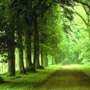 詩가 된 풍경 이미지