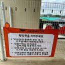 리리유치원 | 전남 광주근교, 1000평 가량의 애견카페 유치원 게르메스 장성애견카페 방문후기