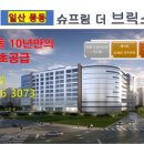 라온브릭스 이미지