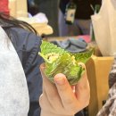 크라운호프 관저마치점 이미지
