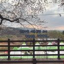 묘곡 경로당 이미지