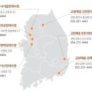 교원예움포항국화원장례식장