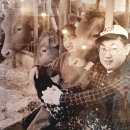 샤로수약국 네이버블로그
