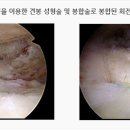 나래병원 이미지