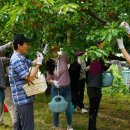 입실2리 이미지