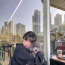 오미네커피 이미지