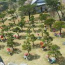 갈월공원 이미지