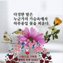 때때로 자신의 삶을 바라 보십시오 이미지