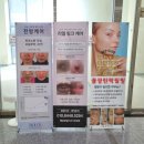 시흥i동물병원 | [시흥 배곧 속눈썹] 프리미엄 튜탈뷰티샵 썸뷰티크, 무쌍도 만족한 속눈썹펌 후기