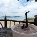 팽나무 펜션 이미지