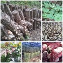 개척농장 이미지