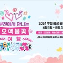 즐거운관광여행사 세계일보