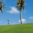 ㈜티앤지 이미지