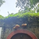 이와인공인중개사사무소 이미지