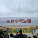늘봄카센타