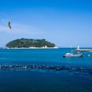 섬을찾는사람들 이미지