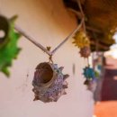 꼬닥꼬닥 이미지