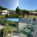 레브몽 | [가평 독채 애견 펜션 레브몽] 중형견이랑 수영장,사우나 있는 마당넓은 애견펜션 다녀온 후기