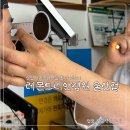 레몬트리 안경원 울산점 - 15386 | 레몬트리 안경원 울산점