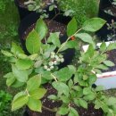 애들아범펜션 이미지